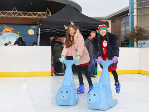 View article Families flock to free festive fun