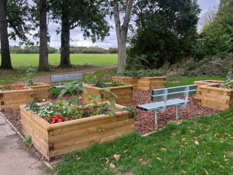 View article Applications for next phase of pocket parks open