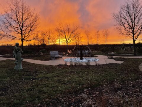 View article Pet cremator construction works underway