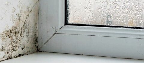 View article Local agents praised for working with housing regulators