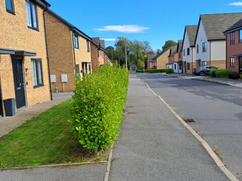 View article Council to build dozens more homes in Hull