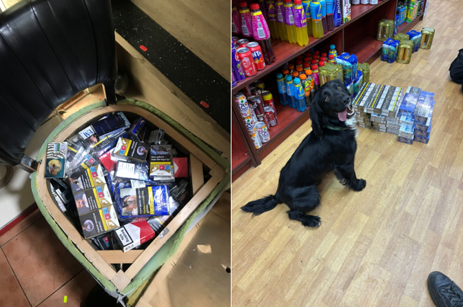 a dining chair with the seat pad removed shows illicit cigarette packets crammed into the base of the seat. In a separate image, a tobacco detection dog, a black cocker spaniel, poses next to tobacco it has helped uncover