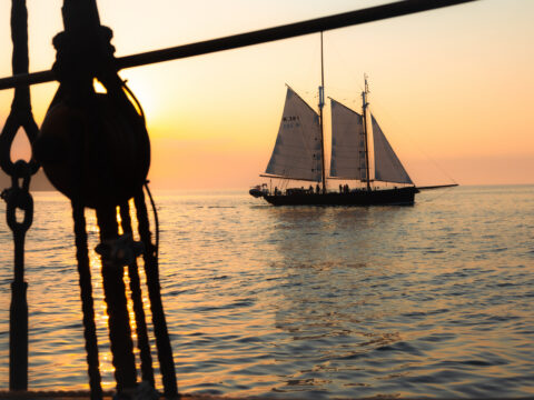 View article Hull to host tall ships ahead of Invictus Games