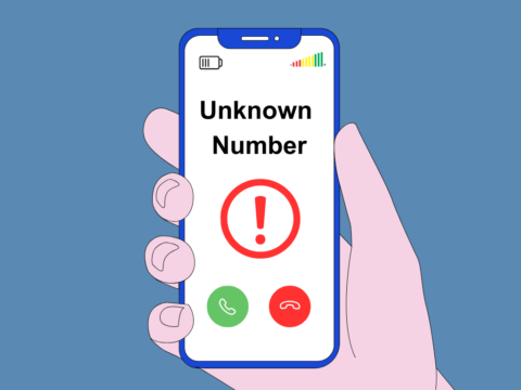 View article Rogue Callers