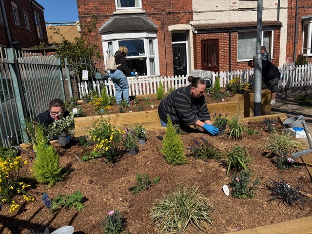 Members of the community bedding in plants into newly installed planters at Holyrood Villas pocket park in Drypool.