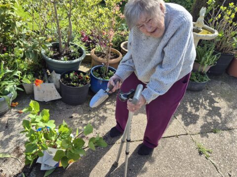 View article Celebrating Tenant Contributions to Community Gardening