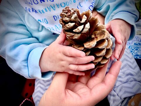 View article Hull Museums and Phoenix Families CIC nominated for regional award