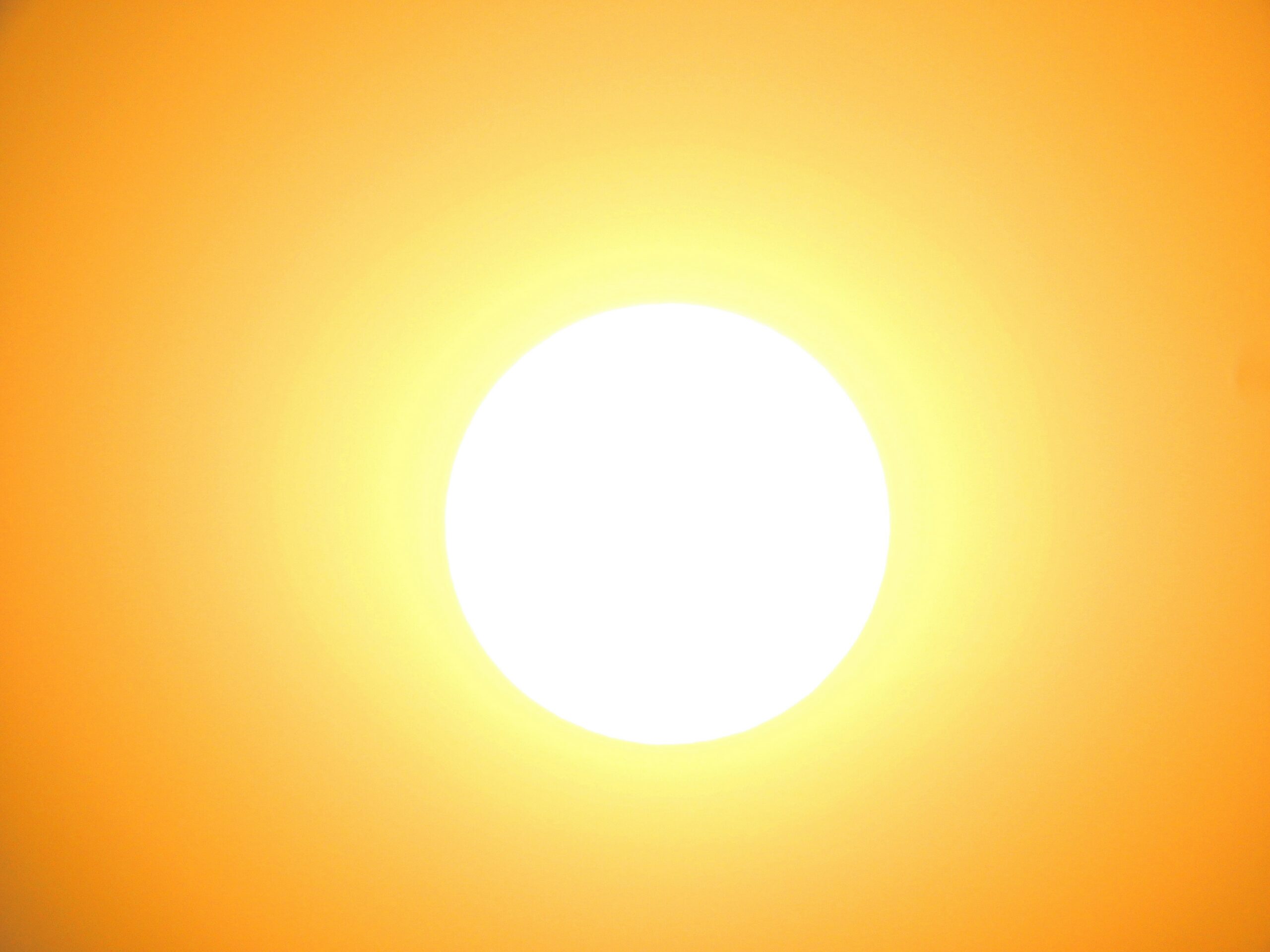 a white-hot sun in an orange sky