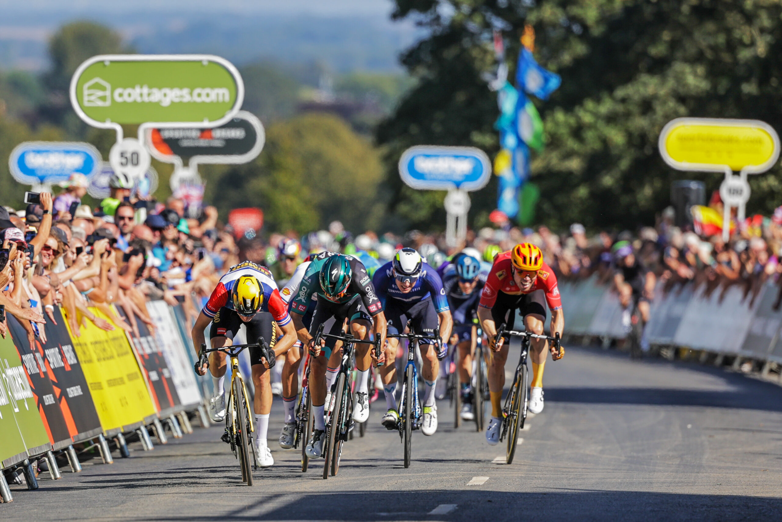 An image of road cyclists all with different coloured helmets and heads down, race towards the camera with blurred crowds either side of them