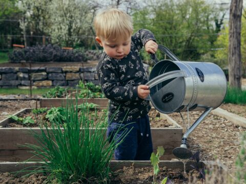 View article Last chance to enter the 2026 Tenants’ Garden Competition