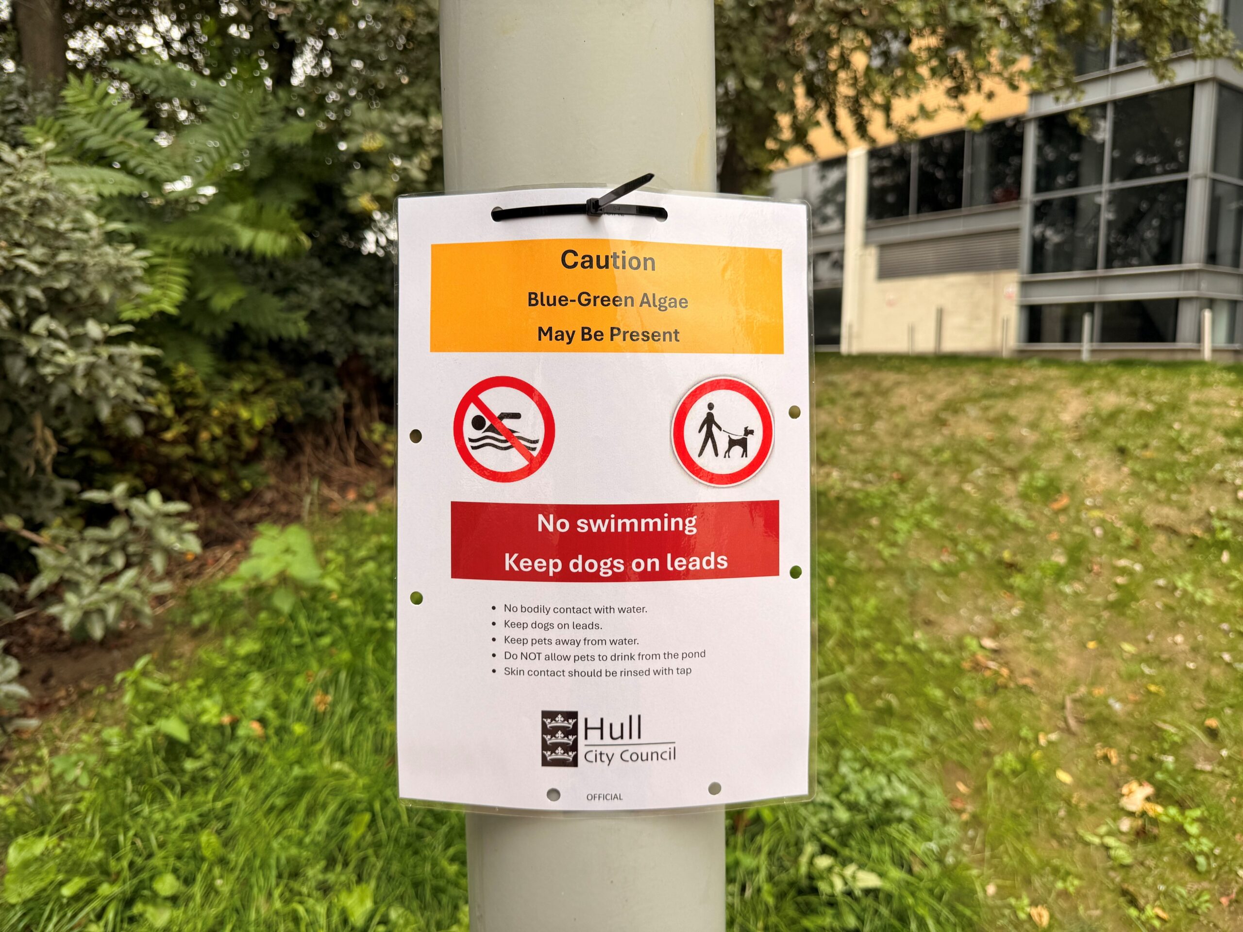 Signage, warning that blue-green algae may be present, attached to a lampost in Queens Gardens.