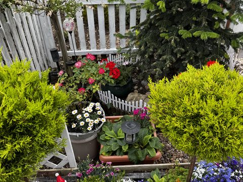 View article Green-fingered tenants rewarded in annual garden competition