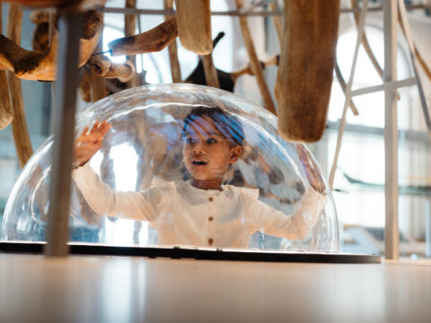 View article Hull’s Maritime Museum shortlisted for two prestigious tourism awards